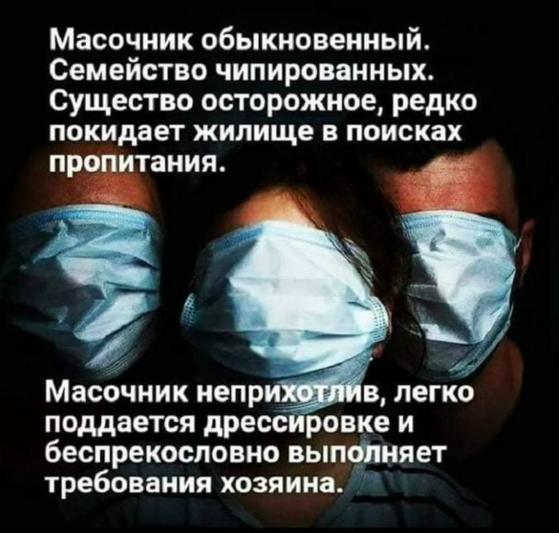 Светлана Рябова |