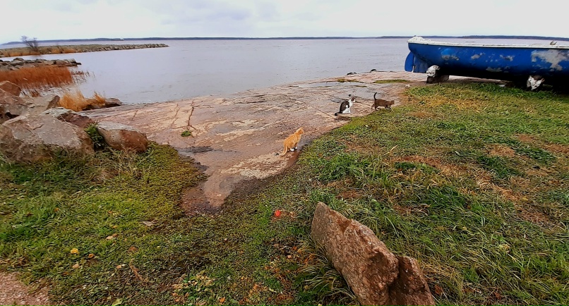 Павел Петров | Санкт-Петербург