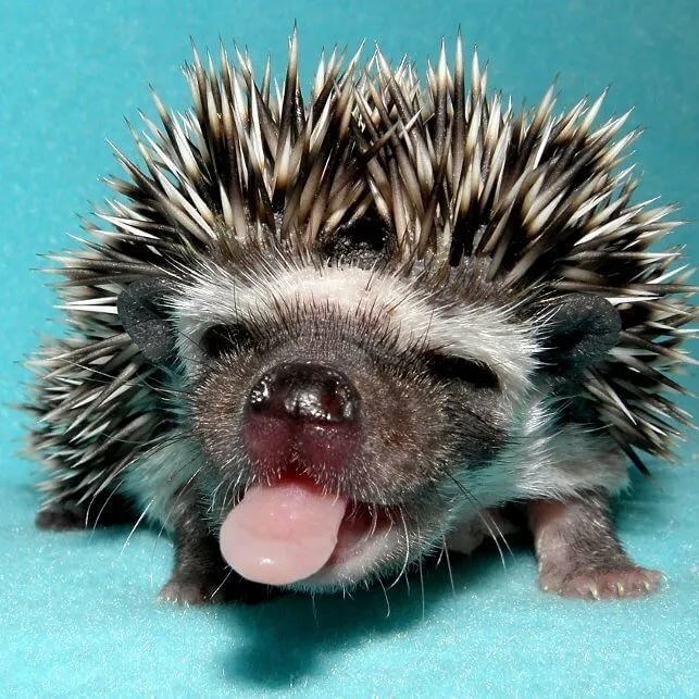 Юлия Ежова | Москва