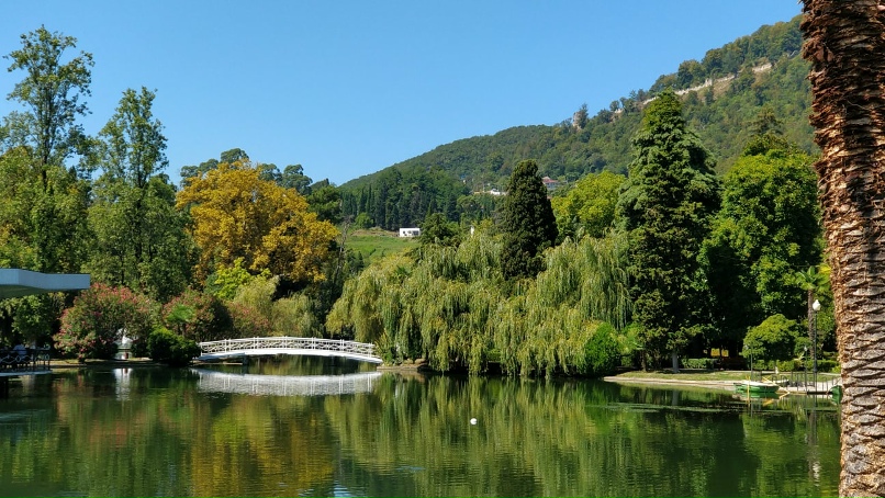 Александр Бедин | Санкт-Петербург