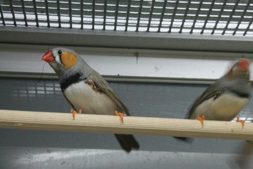 Наталья Слюсарева | Москва