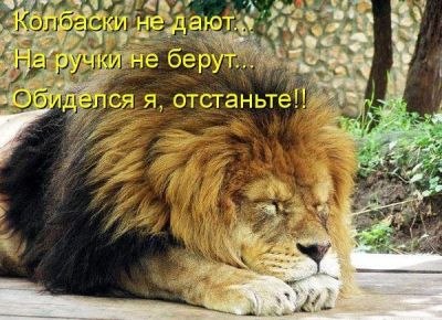 Александр Карих | Советск