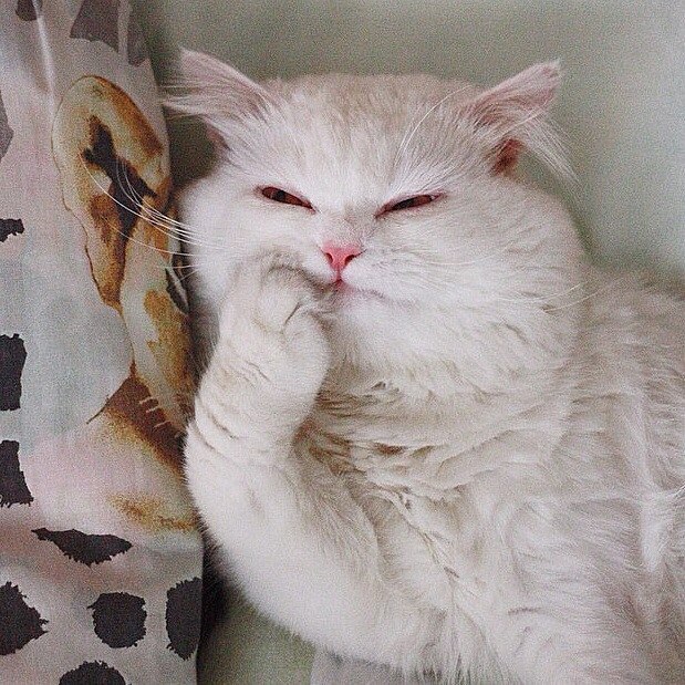 Андрей Мусихин Seg-mel | Москва