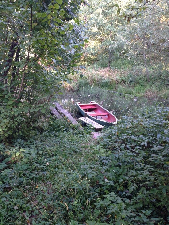 Наталья Матюшина | Москва