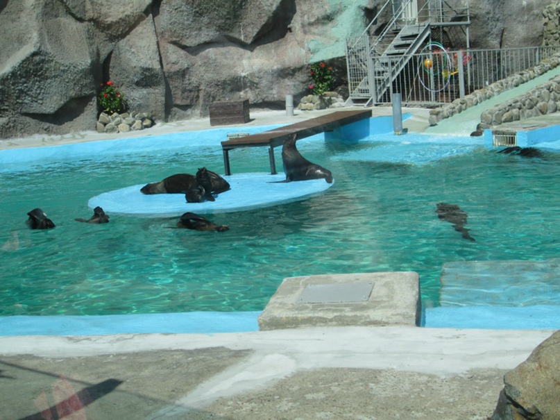 Николай Жидков | Набережные Челны