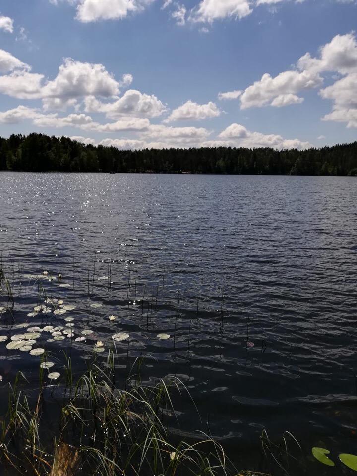 Светлана Стародубцева | Санкт-Петербург