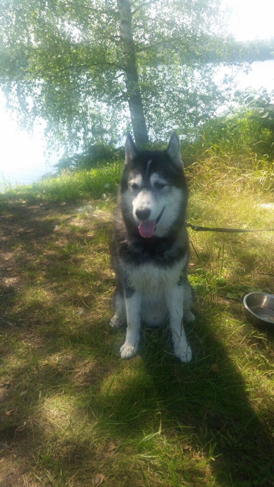 Сергей Тарасов | Ярославль