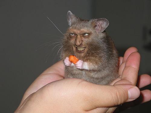 Алексей Галаев | Одесса