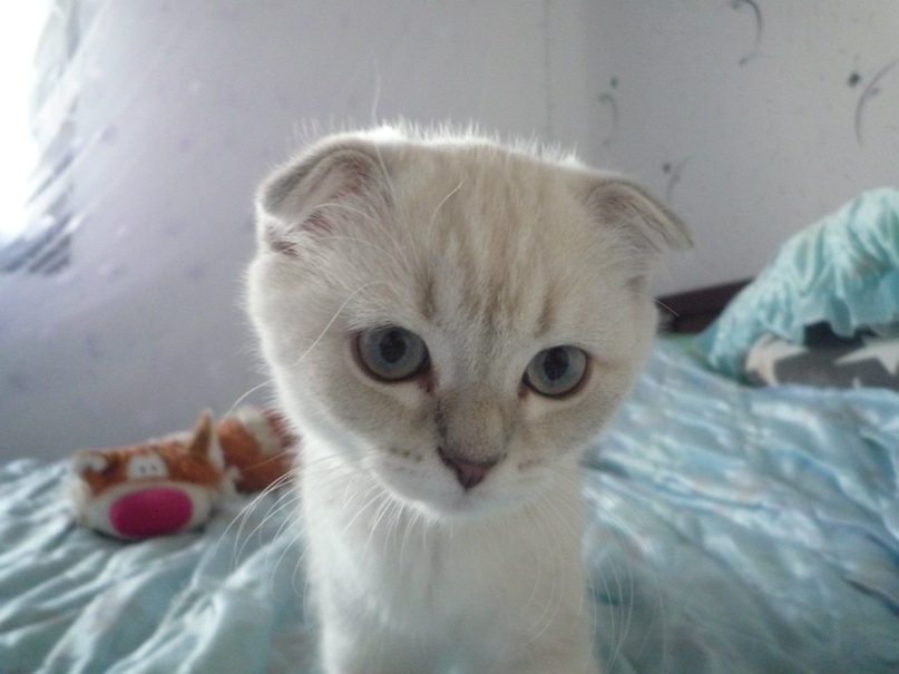 Екатерина Овчаренко | Костомукша