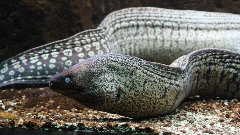 Кристина Аминова | Уфа