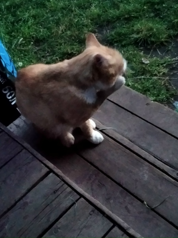 Ирина Исаева | Санкт-Петербург