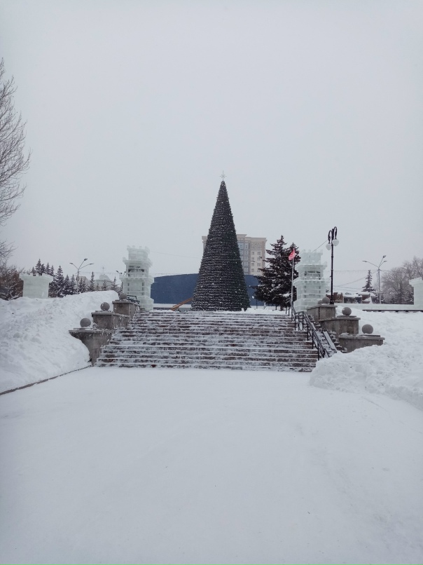 Наталья Перепелица | Барнаул