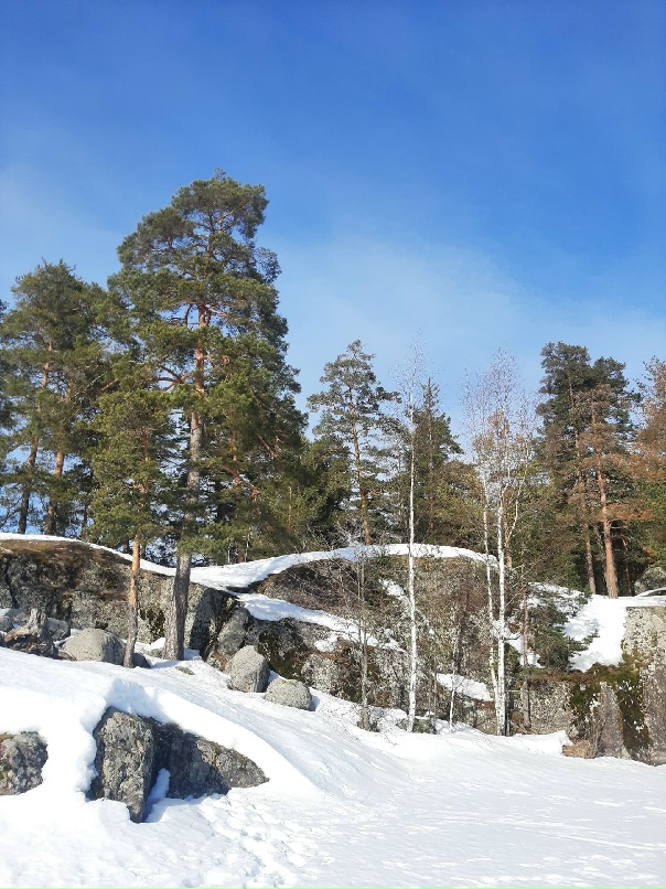 Мария Николаева | Санкт-Петербург