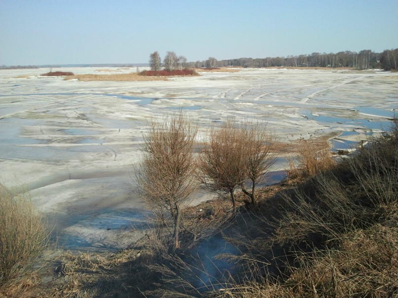 Олег Тузов Евгеньевич | Тверь