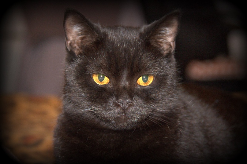 Анастасия Мотина | Петрозаводск