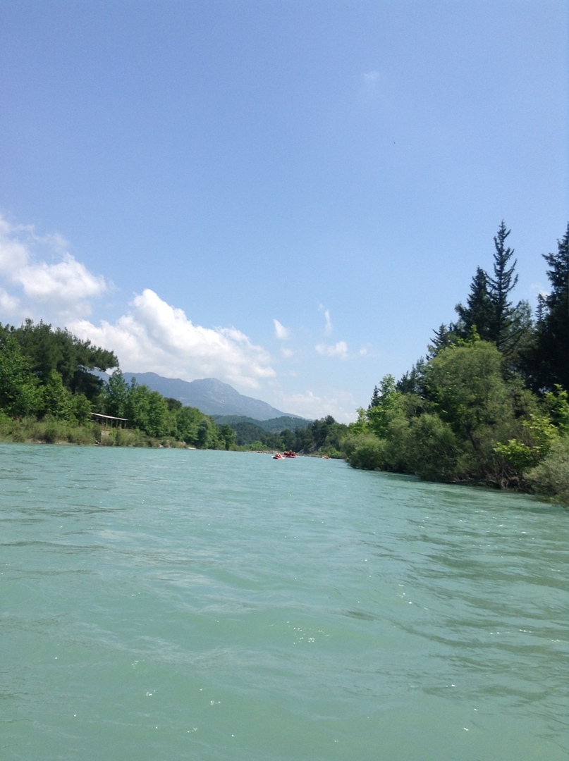 Дмитрий Долгополов | Москва