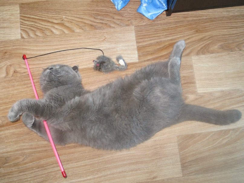 Александр Ермолаев | Пенза