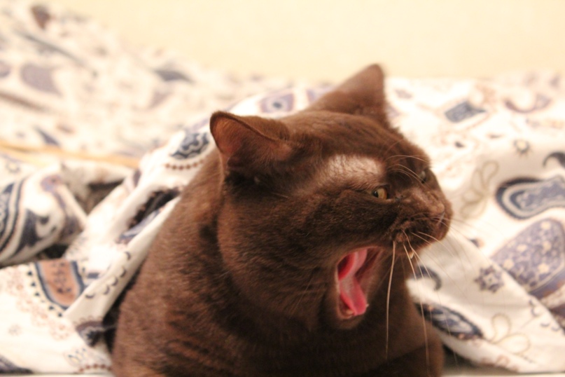 Екатерина Мухина | Пермь