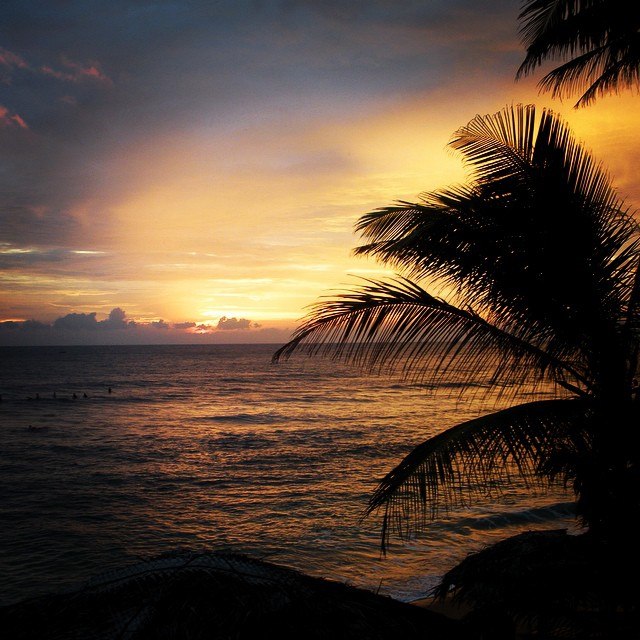 Дмитрий Онегин | Москва