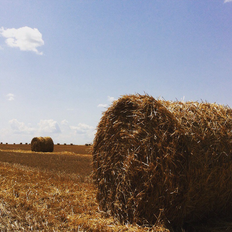 Екатерина Овчаренко | Самара