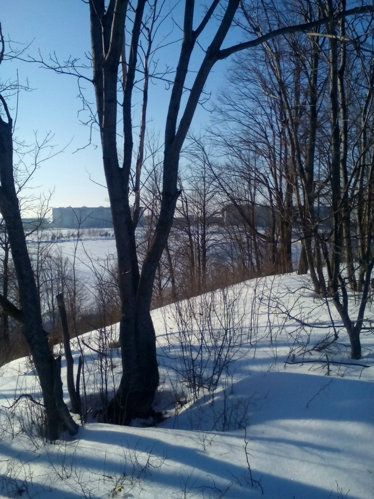 Ирина Антонова | Камские Поляны