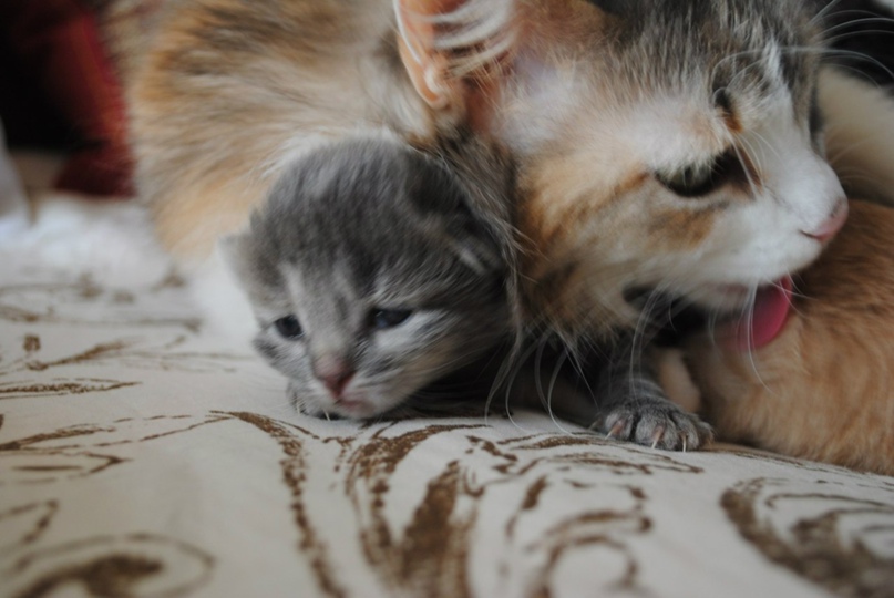 Оксана Окулова | Уфа