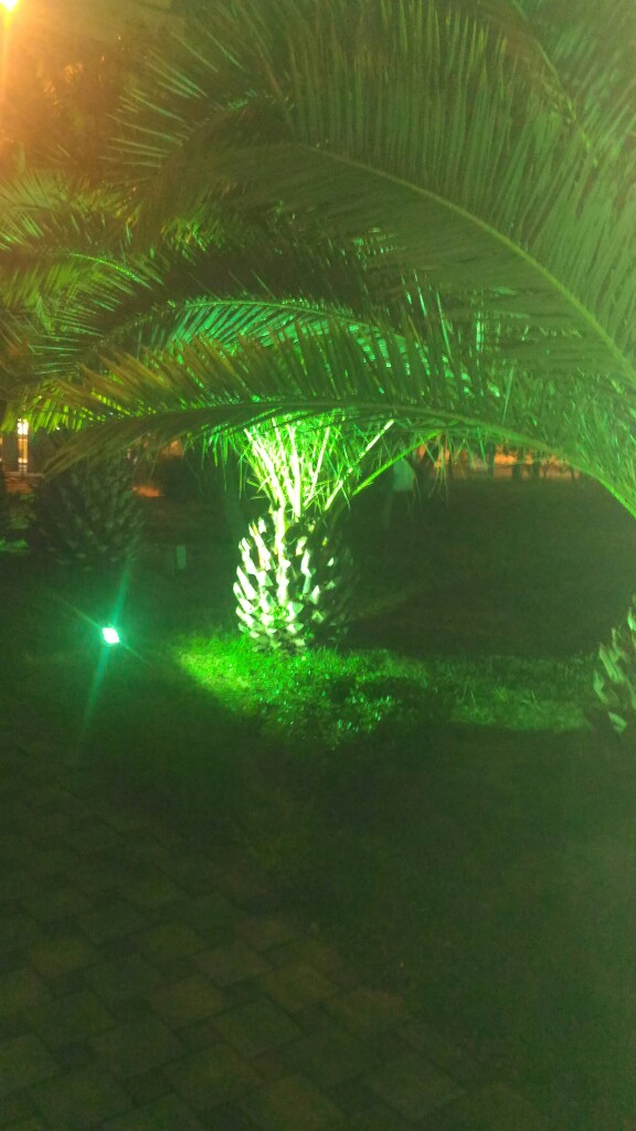 Марина Димова | Мурманск