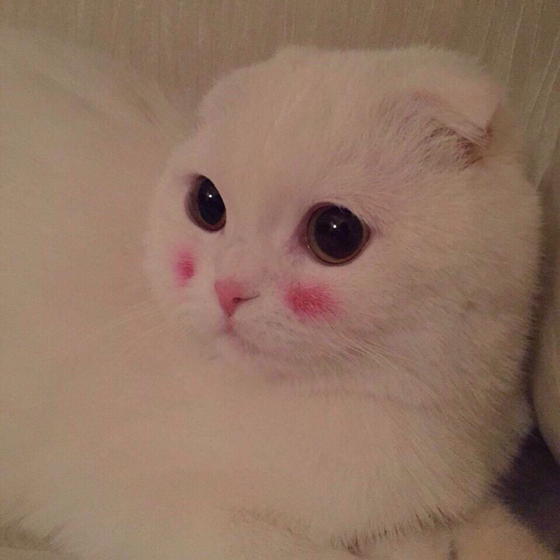 Ксюша Сергеева | Симферополь