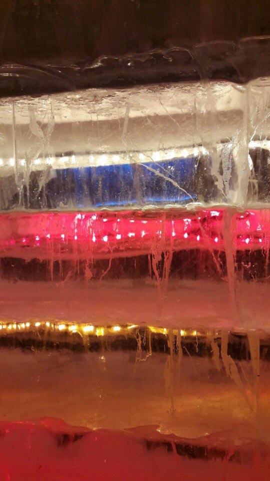 Елена Деревянко | Санкт-Петербург