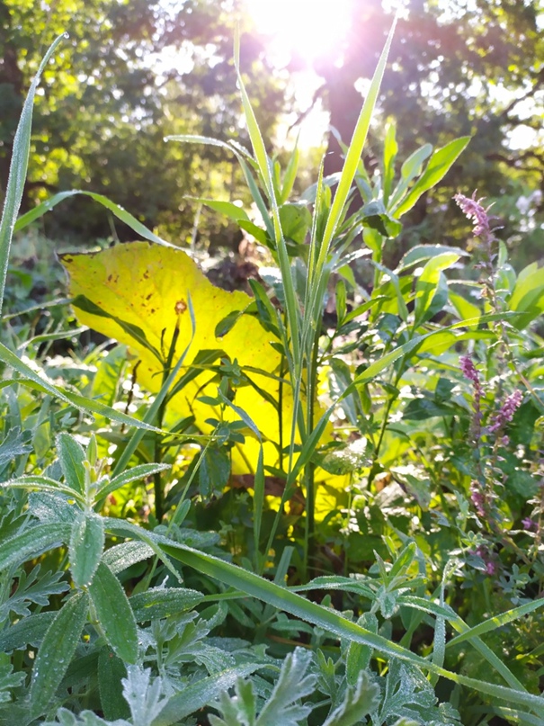 Лейсан Шарипова | Уфа