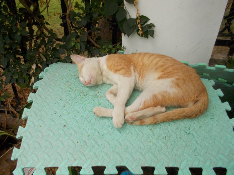 Любовь Лукина | Красноярск