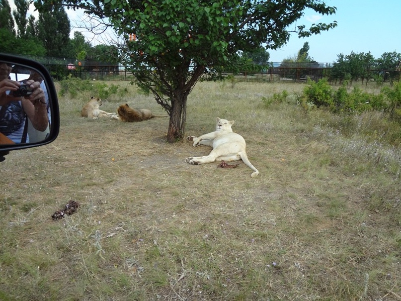 Дмитрий Скобелев | Омск
