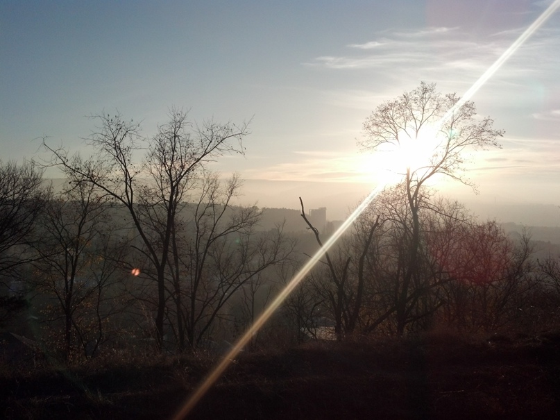 Данил Яковлев | Саратов