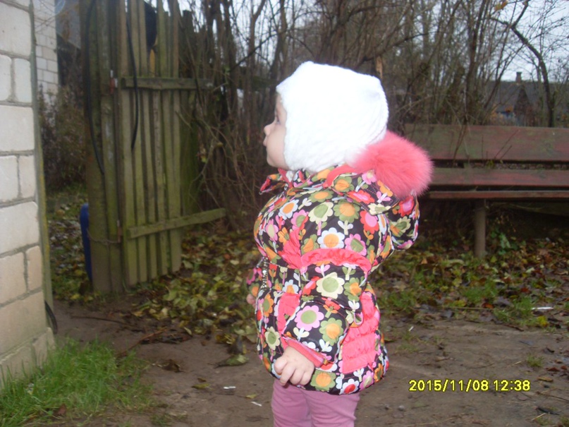 Анатолий Викторович | Красногородск