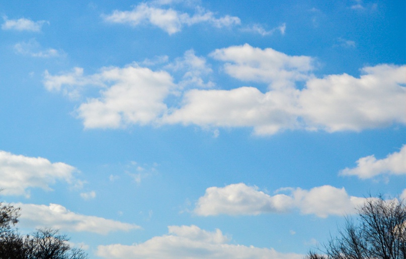 Иван Пахомов | Тольятти