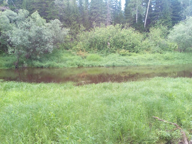 Антон Чикишев | Тюмень