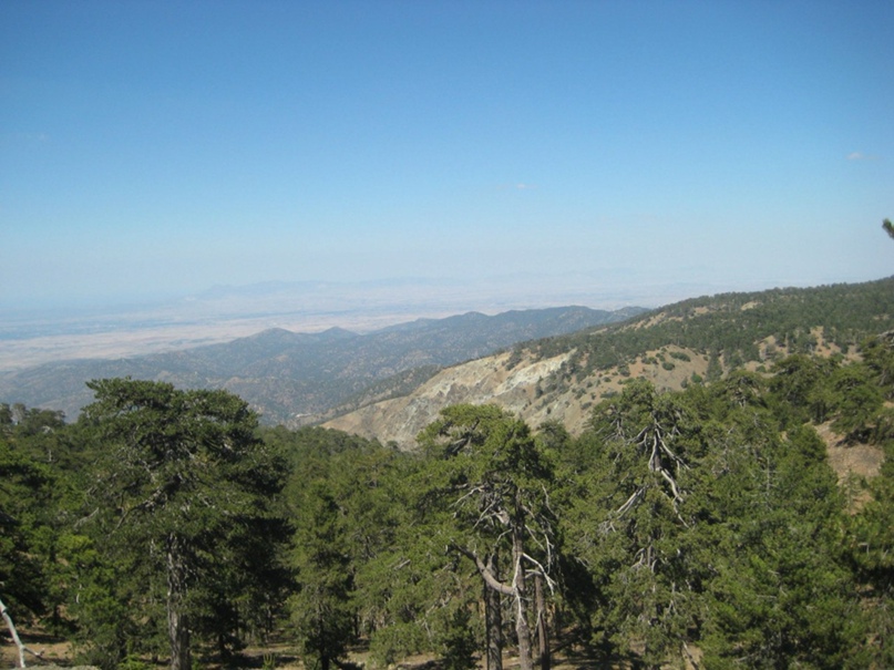 Елена Смолина | Нижний Новгород