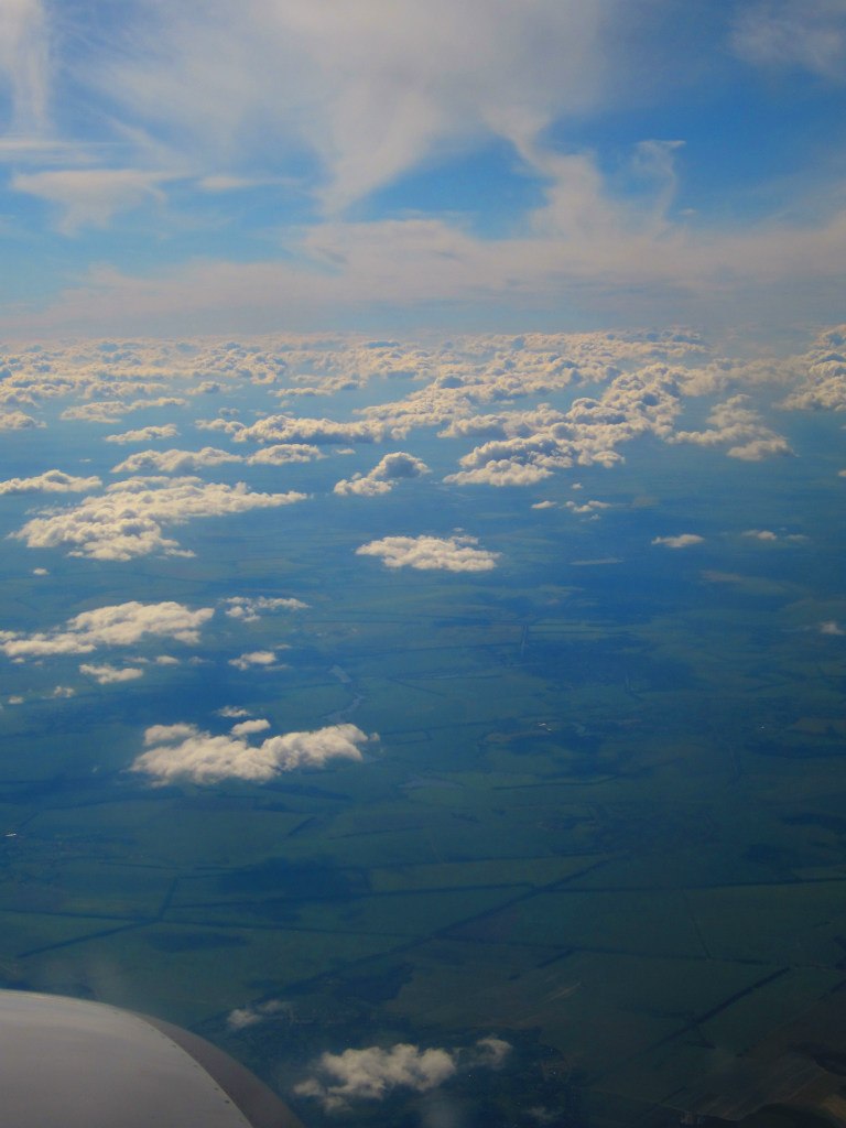 Александра Прохорова | Киев