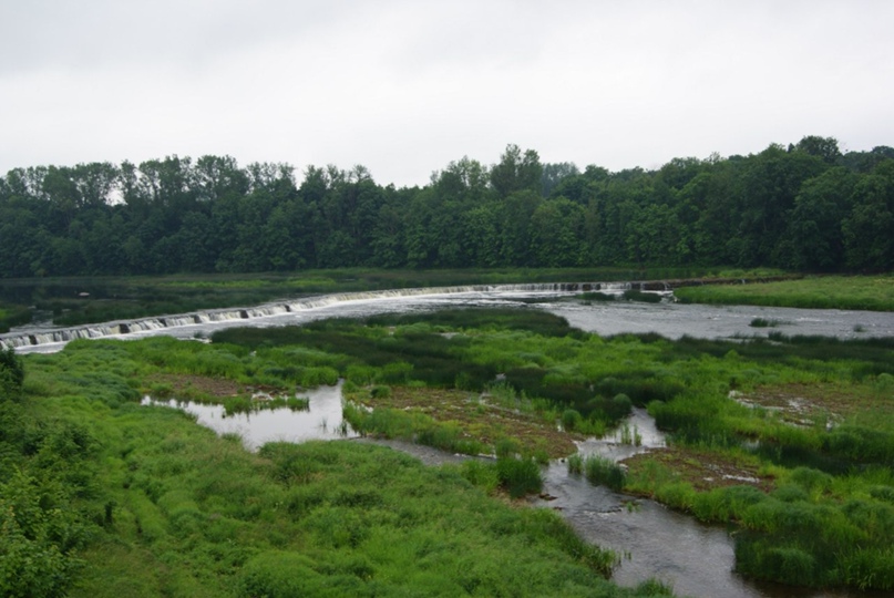 Александра Зверева | Смоленск