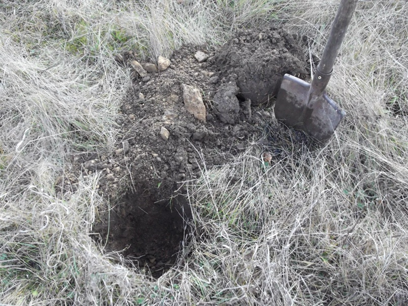 Владислав Сотников | Калининград