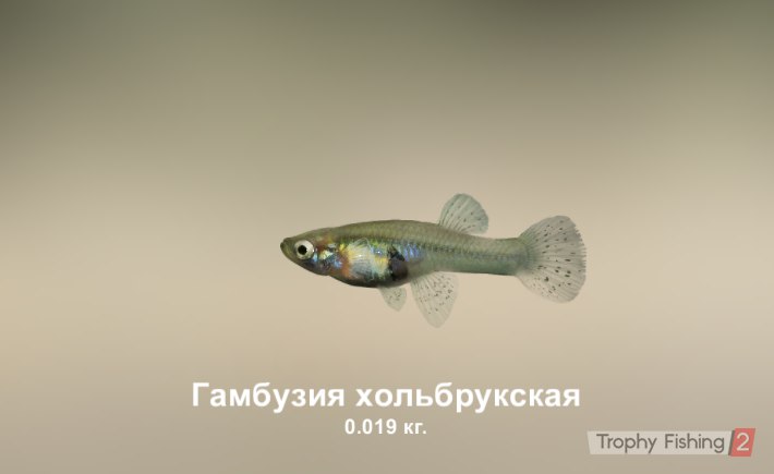 Евгений Мохов Krest | Днепр (Днепропетровск)