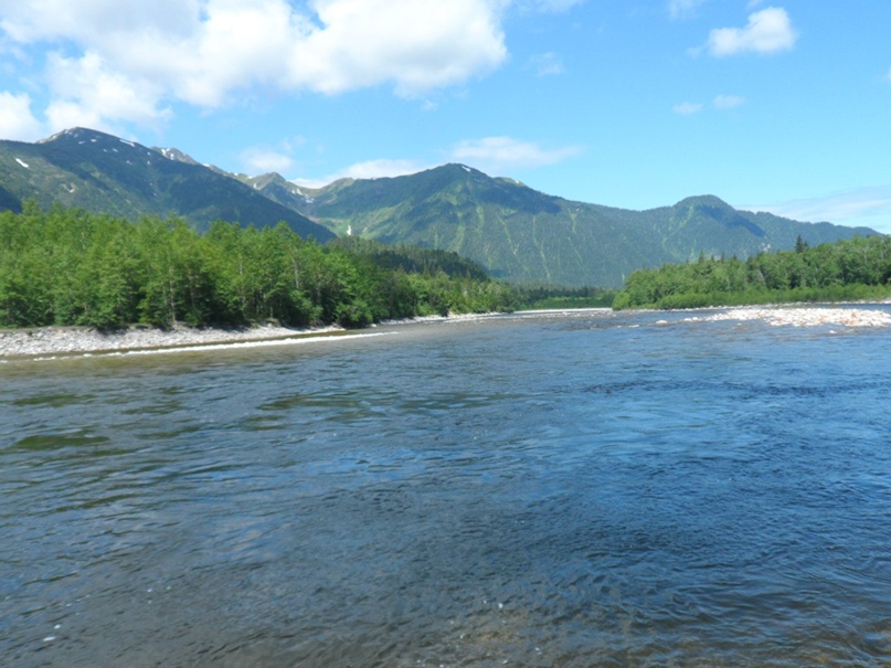 Алексей Сазонов | Иркутск