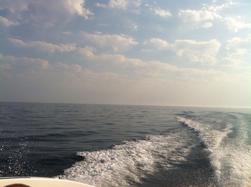 Игорь Жарков | Мурманск