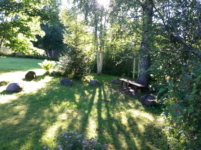 Владимир Семеновых | Санкт-Петербург