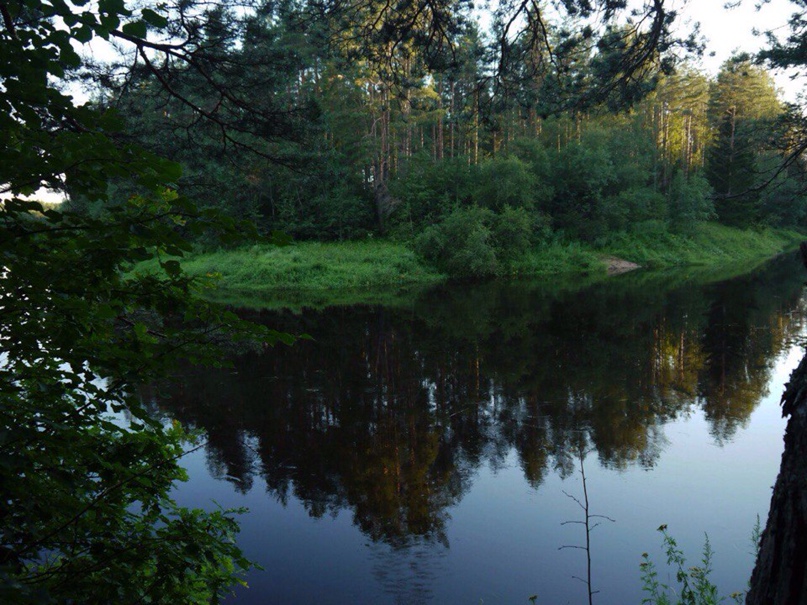 Илья Петров | Тихвин