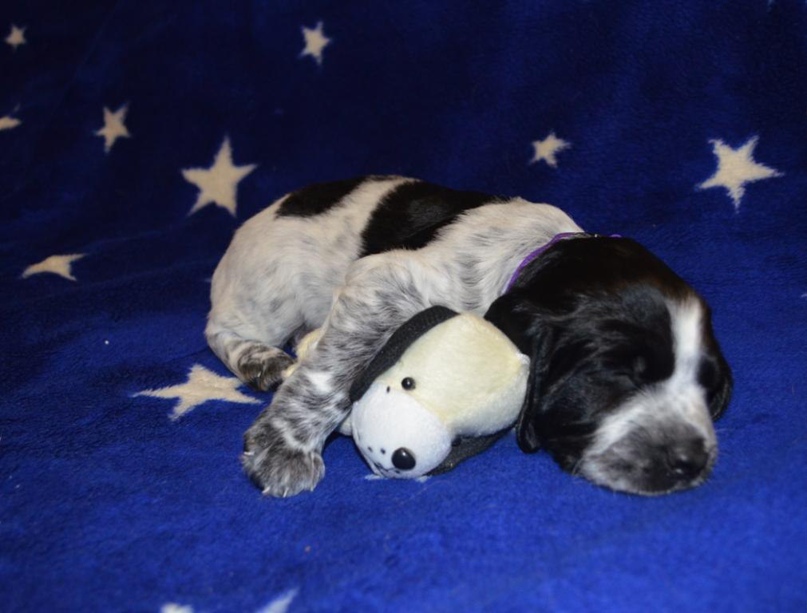 Марина Макаренко | Красноград