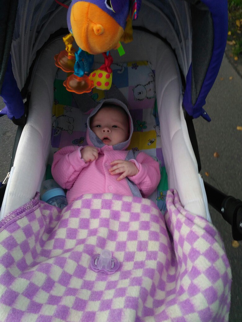 Валентин Подольский | Луга