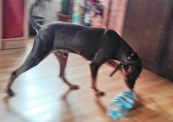 Светлана Алексеенко | Санкт-Петербург