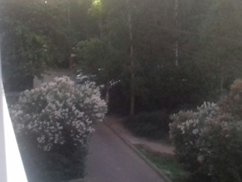 Марина Коноплева |