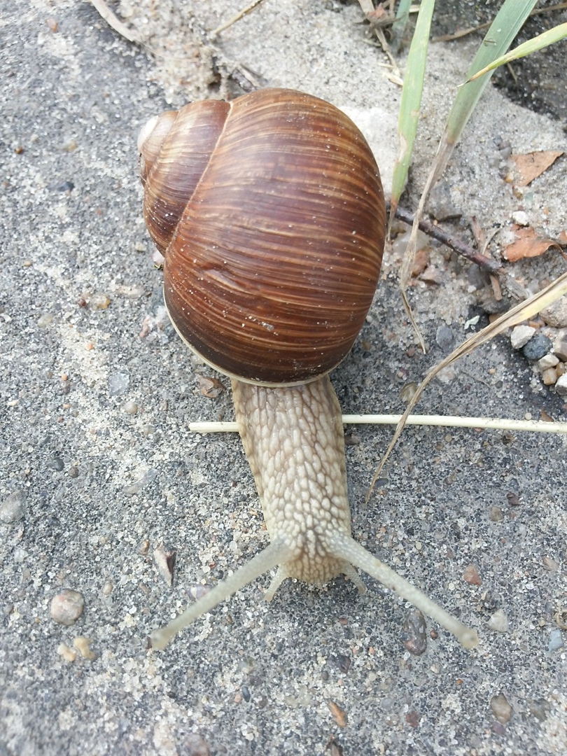 Ольга Алехина | Москва